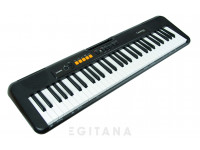 Casio CT-S100 Casio CT-S100